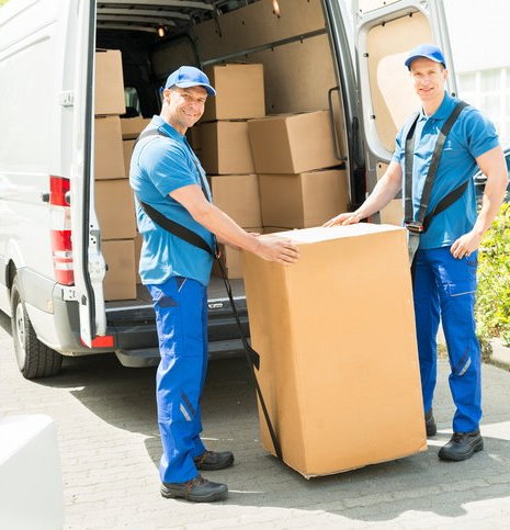 best movers in Abu Dhabi